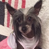 Entry image for NORA THE EXPLORA