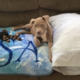 Entry image for Lincoln