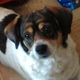 Entry image for Sandy