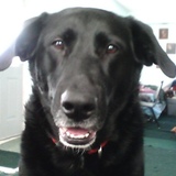 Entry image for Maxine