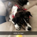 Entry image for Broski 