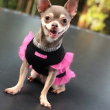 Entry image for Chelsea