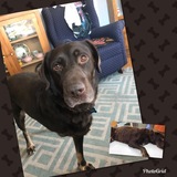 Entry image for Jack