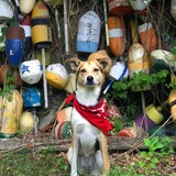 Entry image for Lupita 