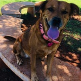 Entry image for Sugar