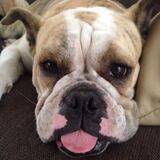 Entry image for Ms. Jumbalia Grumble Pants