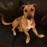 Entry image for Fabian