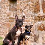 Entry image for Kairi and Jango Fett