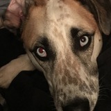 Entry image for Demon