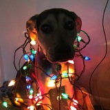 Entry image for Bessie Lou