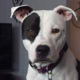 Entry image for Madison 