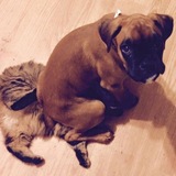 Entry image for Myles and flat Dewy