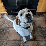 Entry image for Montana 