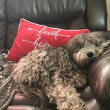 Entry image for Charlie