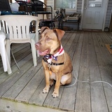 Entry image for Chance