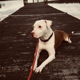 Entry image for Fiona 