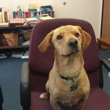 Entry image for Bradley