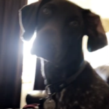 Entry image for Potter