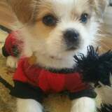 Entry image for Marley Meadow 