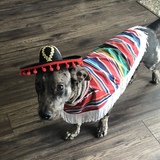 Entry image for Chimichanga