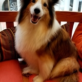 Entry image for Lola