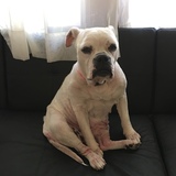 Entry image for Delilah Horn 