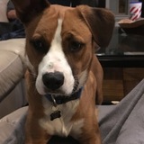 Entry image for Gully