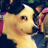 Entry image for Pe'pe