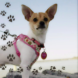 Entry image for Pixie