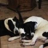 Entry image for Cash, monster and baby