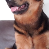 Entry image for Lilo