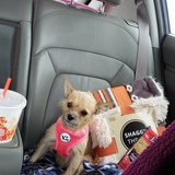 Entry image for Sweet Pea