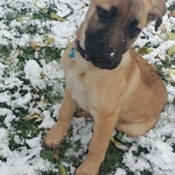 Entry image for Tula