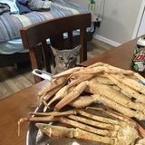 Entry image for Sassy