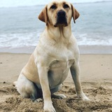 Entry image for Gretchen 