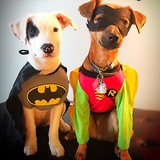 Entry image for Petey & Jackson