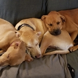 Entry image for Stix, Garo & Denver