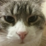 Entry image for Meeka