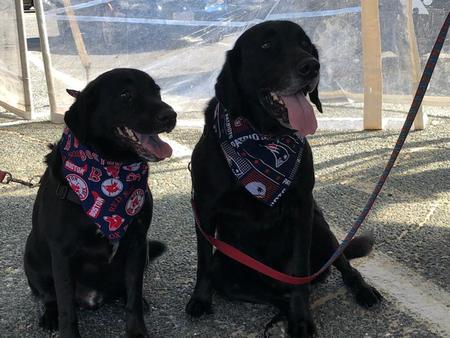 Entry image for Diver & Jax. Clicking this image will show a larger photo