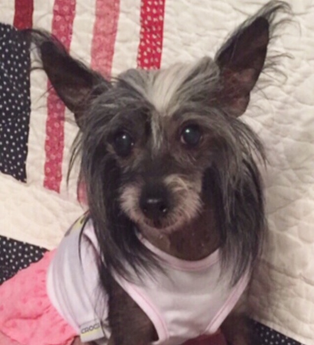 Entry image for NORA THE EXPLORA. Clicking this image will show a larger photo