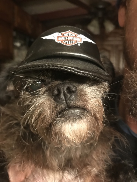 Entry image for Sye . Clicking this image will show a larger photo