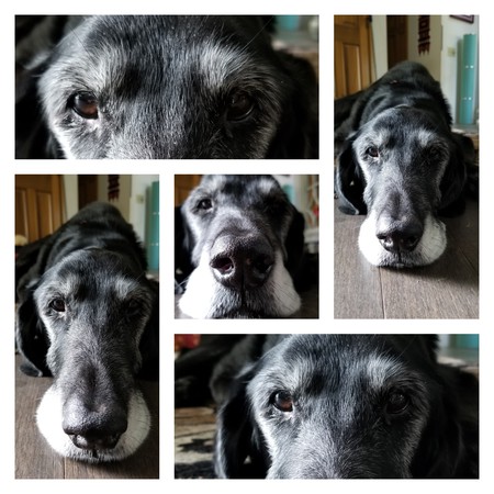 Entry image for YOHAN. Clicking this image will show a larger photo