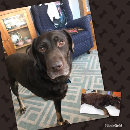 Entry image for Jack. Clicking this image will show a larger photo