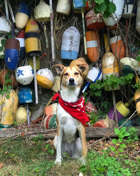 Entry image for Lupita . Clicking this image will show a larger photo