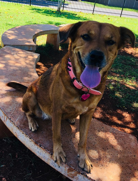 Entry image for Sugar. Clicking this image will show a larger photo