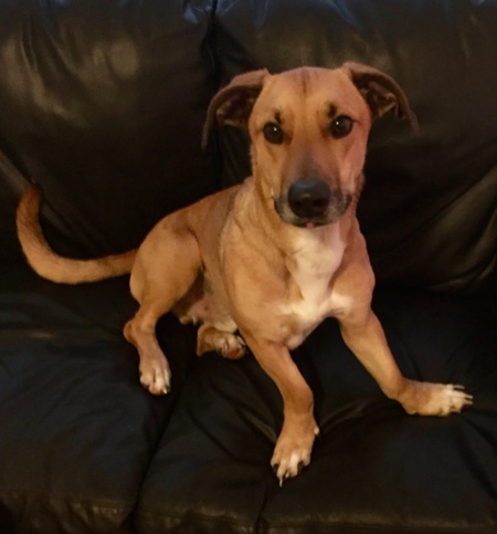 Entry image for Fabian. Clicking this image will show a larger photo