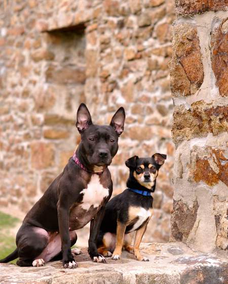 Entry image for Kairi and Jango Fett. Clicking this image will show a larger photo