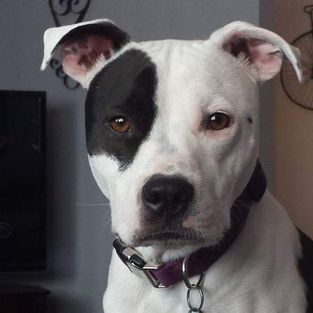 Entry image for Madison . Clicking this image will show a larger photo