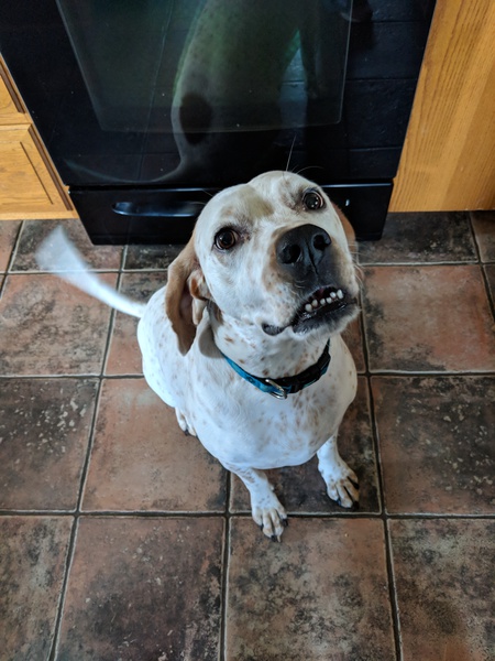 Entry image for Montana . Clicking this image will show a larger photo