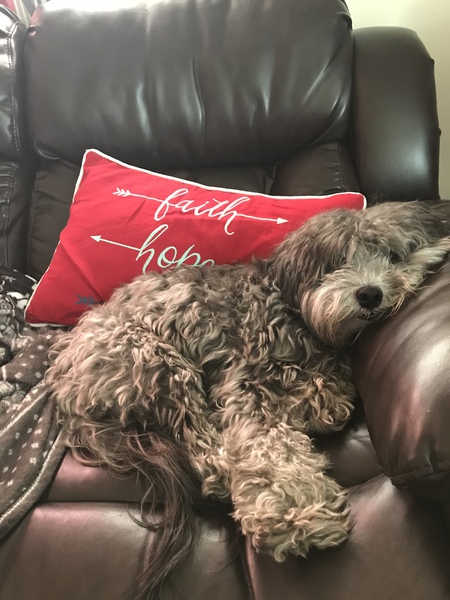 Entry image for Charlie. Clicking this image will show a larger photo